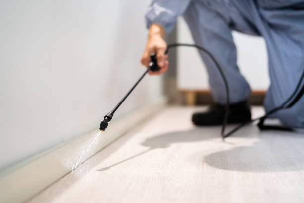 Certified termite inspector examining foundation in Lancaster